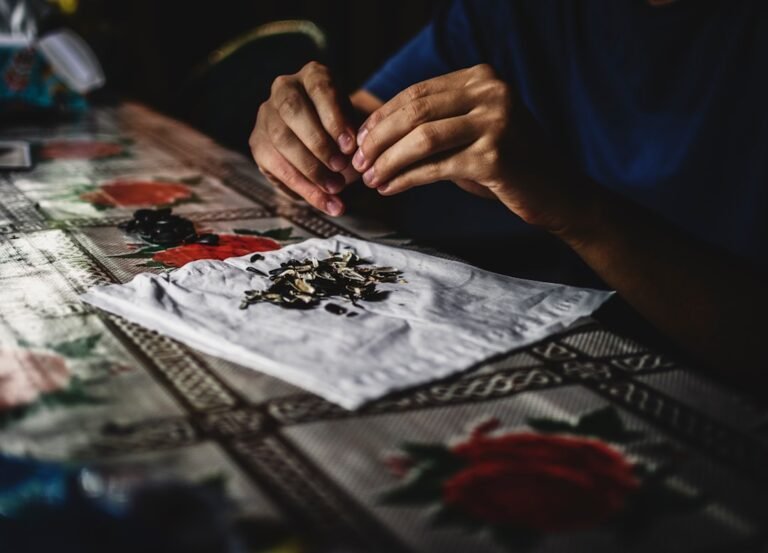 Photo hobby into income