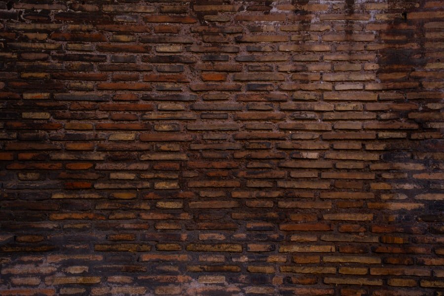 Photo eduardo saverin